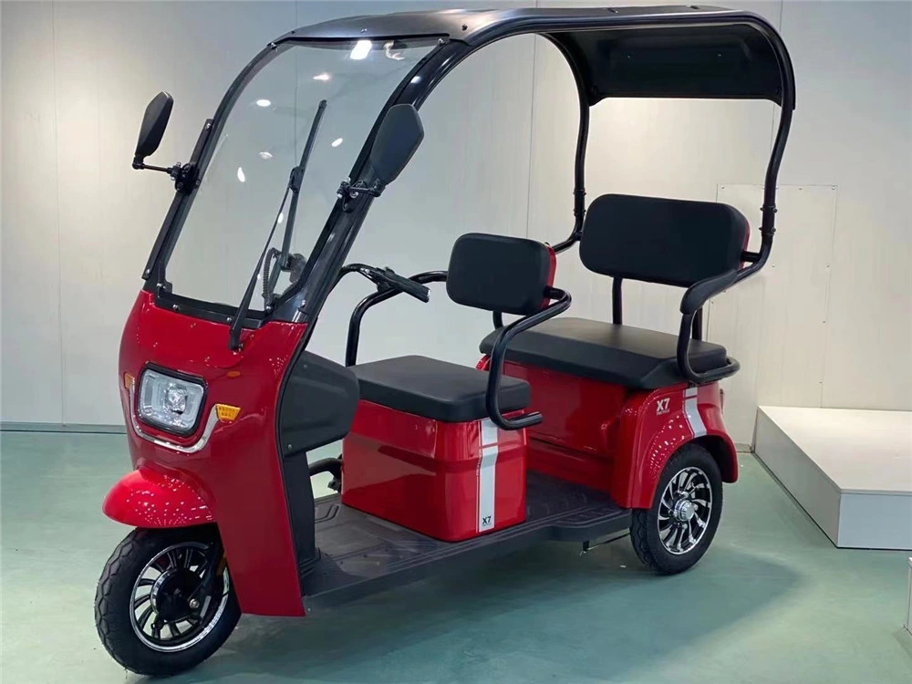 Electric Tricycle Integrated Shed with Windshield Wiper Adult Recreational Electric Car