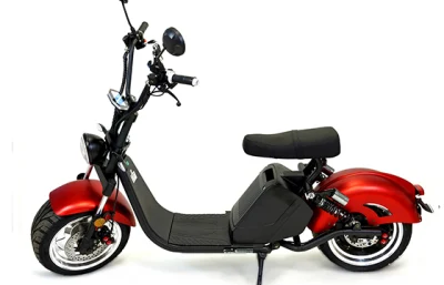 Scooter électrique avec batterie au lithium amovible CEE moto