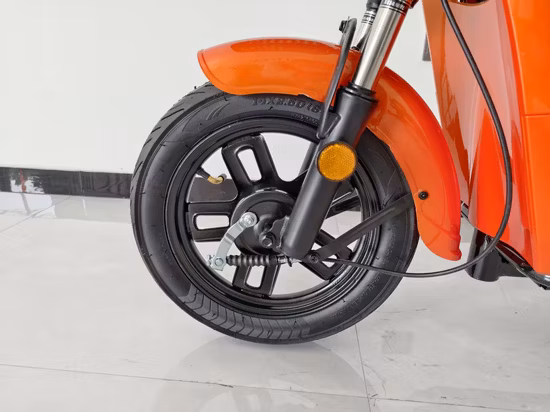 Vélo électrique OEM 48V 13ah 7 vitesses 800W pour adulte