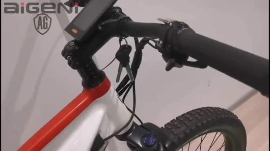 27,5 pouces Suspension personnalisée vélo électrique gros pneu Ebike VTT