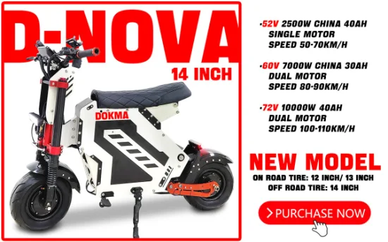 Dokma 13 pouces sur route pneu 52V 2500W prix bon marché OEM Scooter électrique pour adulte